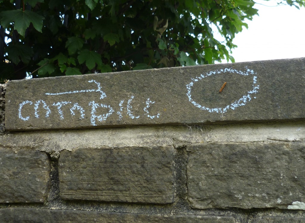 shipley river day 036