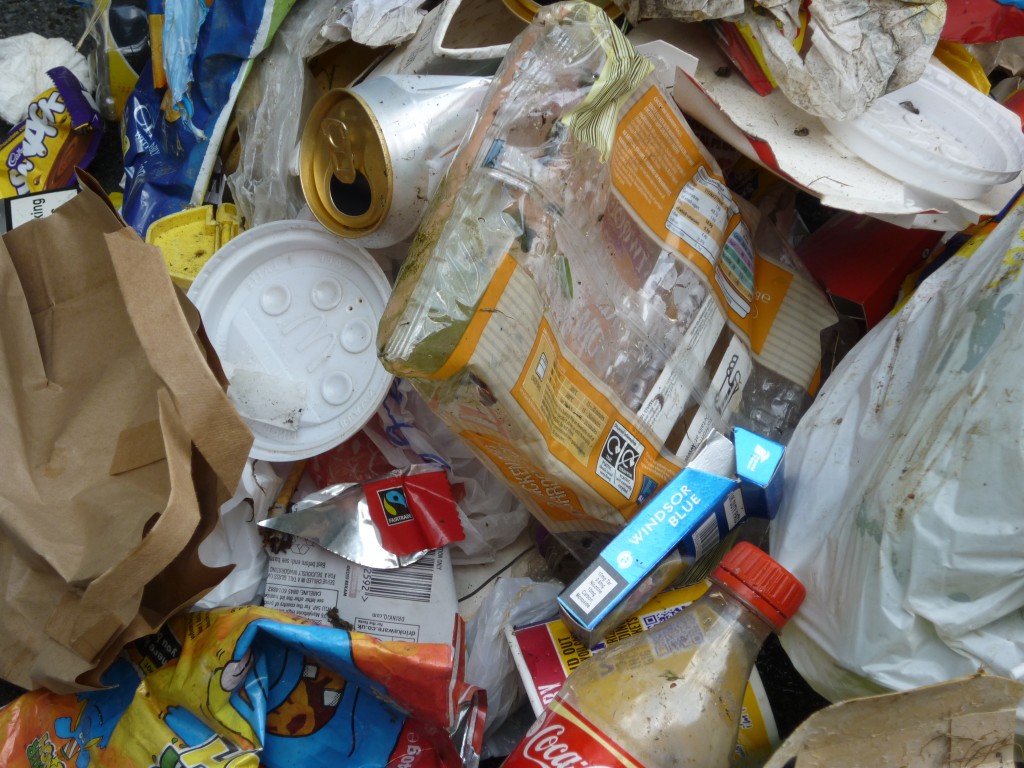 shipley river day 060