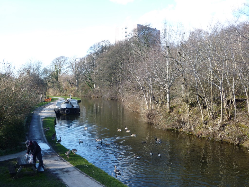 ireland to crosley woods 203