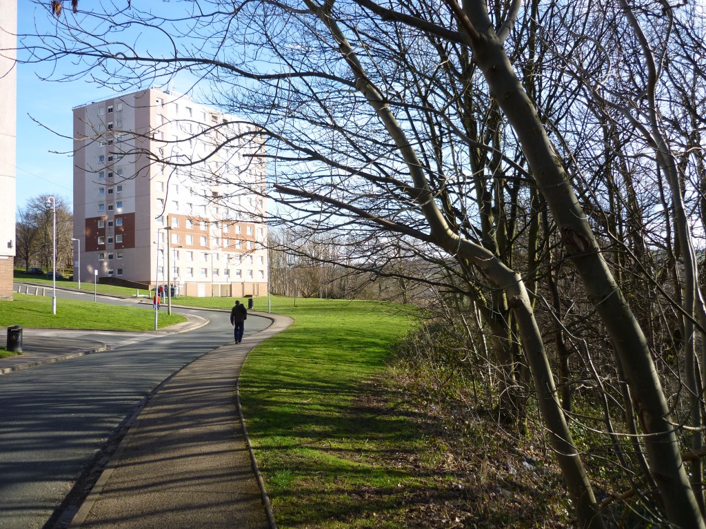 ireland to crosley woods 210