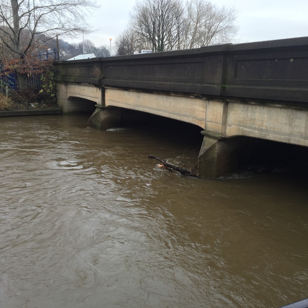 2015-12-13 13.38.27 HDR