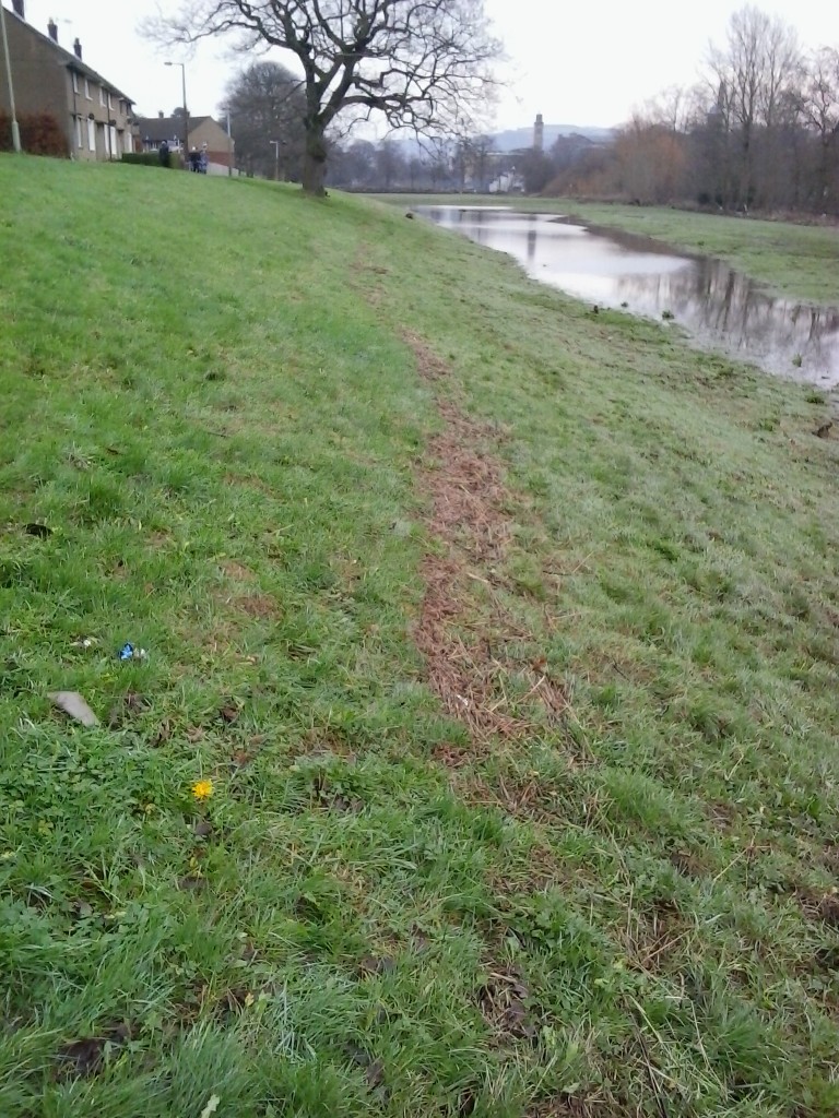 Saltaire 28 Dec 15 021