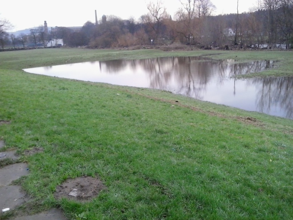 Saltaire 28 Dec 15 022